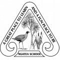 Ngatea School